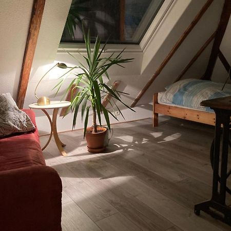 Privates Appartment Ferienwohnung Im Einfamilienhaus ดุสเซลดอร์ฟ ภายนอก รูปภาพ